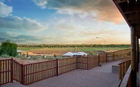 Kalahari Lion'S Rest